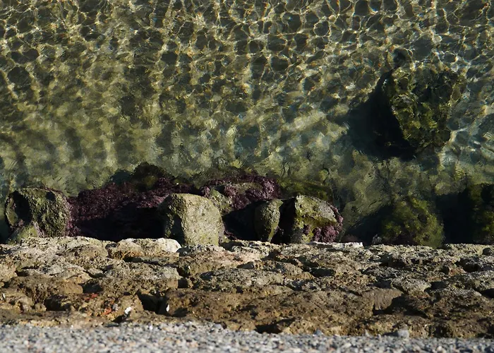 Lindas Convent Garden 2 Σπίτι διακοπών